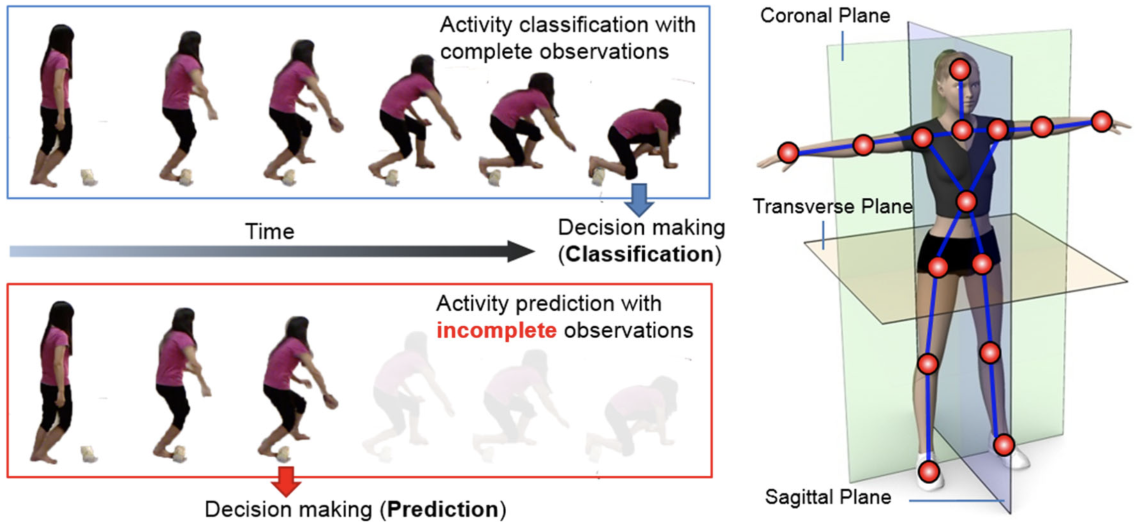 Overview Figure